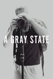 poster A Gray State