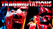 Transmutations wallpaper 