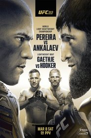 poster UFC 313: Pereira vs. Ankalaev