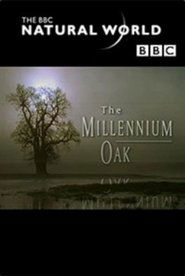 The Millennium Oak FULL MOVIE