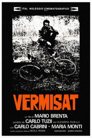 Vermisat poster