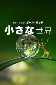 gallery-thumbnail