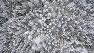 August 30, 2019