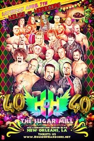 House of Hardcore 40 Poster