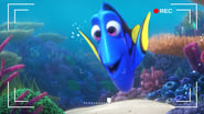 Sous l’océan avec Dory wallpaper 