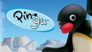 Pingu  