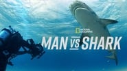 Man vs. Shark wallpaper 