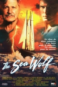 Voir film Le loup des mers en streaming