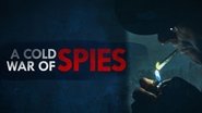 Backdrop of A Cold War of Spies image size 2560x1440