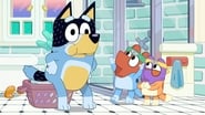 Bluey season 1 episode 46