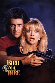 poster Bird on a Wire