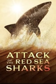 Poster of Attack of the Red Sea Sharks image size 1179x1769