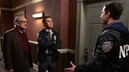 Brooklyn Nine-Nine season 6 episode 11