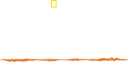 Logo of Primal Survivor: Over the Andes image size 3621x2160