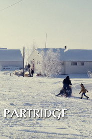Partridge poster