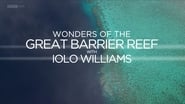 Wonders of the Great Barrier Reef with Iolo Williams wallpaper 