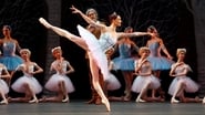 Bolshoi Ballet: Don Quixote wallpaper 