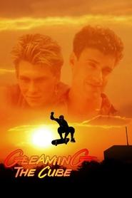 poster Gleaming the Cube