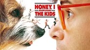Backdrop of Honey, I Shrunk the Kids image size 3840x2160