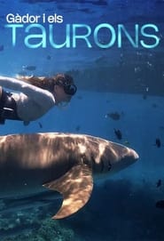 poster Gàdor i els taurons