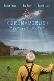 Coronavirus: Perfect Storm