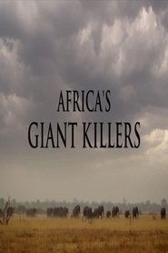 poster Africa's Giant Killers