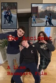 poster The Accident