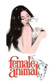 poster Female Animal
