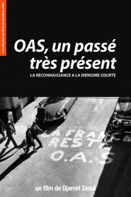 OAS, Un passé très présent