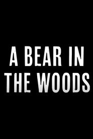 poster A Bear in the Woods