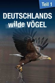 poster Deutschlands wilde Vögel
