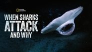 Backdrop of When Sharks Attack... and Why image size 1280x720