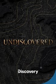 Poster of Undiscovered image size 666x999