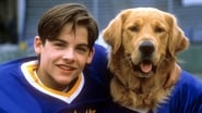 Air Bud 2 - Receveur étoile wallpaper 