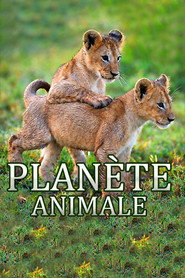 Animal Planet poster