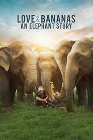 Love & Bananas: An Elephant Story Poster