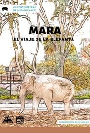 Mara, el viaje de la elefanta