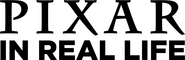 Logo of Pixar in Real Life image size 4021x1300