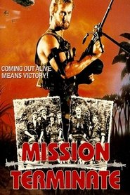 Poster of Return of the Kickfighter image size 1000x1500