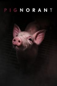 poster Pignorant