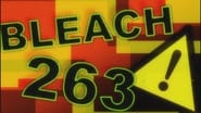 Bleach season 1 episode 263