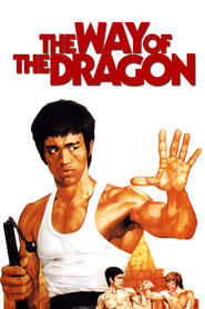 The Way of the Dragon FULL MOVIE