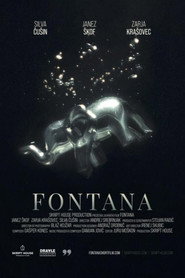 The Fountain