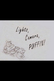 Elf: Lights, Camera, Puffin!