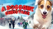 A Doggone Christmas wallpaper 