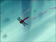 La libellula rossa