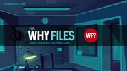 Backdrop of The Why Files image size 1920x1080