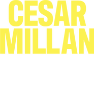 Logo of Cesar Millan: Better Human, Better Dog image size 1137x1086
