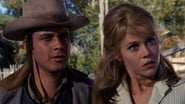 Cat Ballou wallpaper 