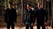 Vampire Diaries season 2 episode 13